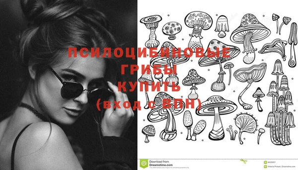 MESCALINE Алзамай
