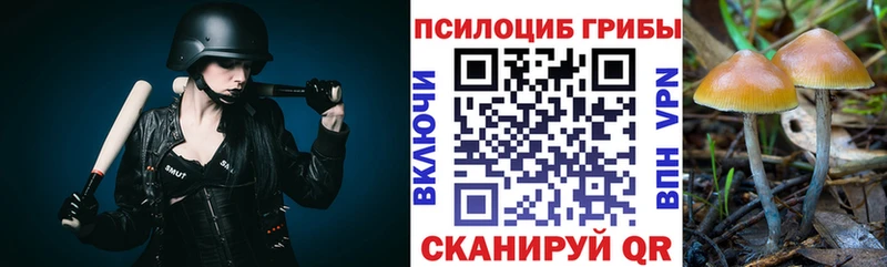 Галлюциногенные грибы Psilocybine cubensis  Павловский Посад 