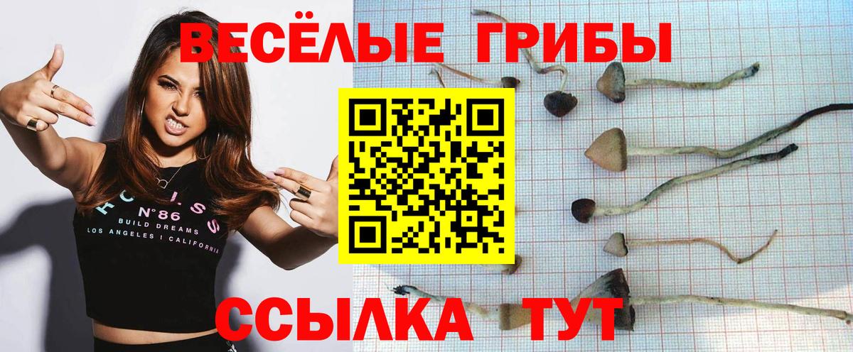 Псилоцибиновые грибы Psilocybe  Вход с VPN  Павловский Посад 