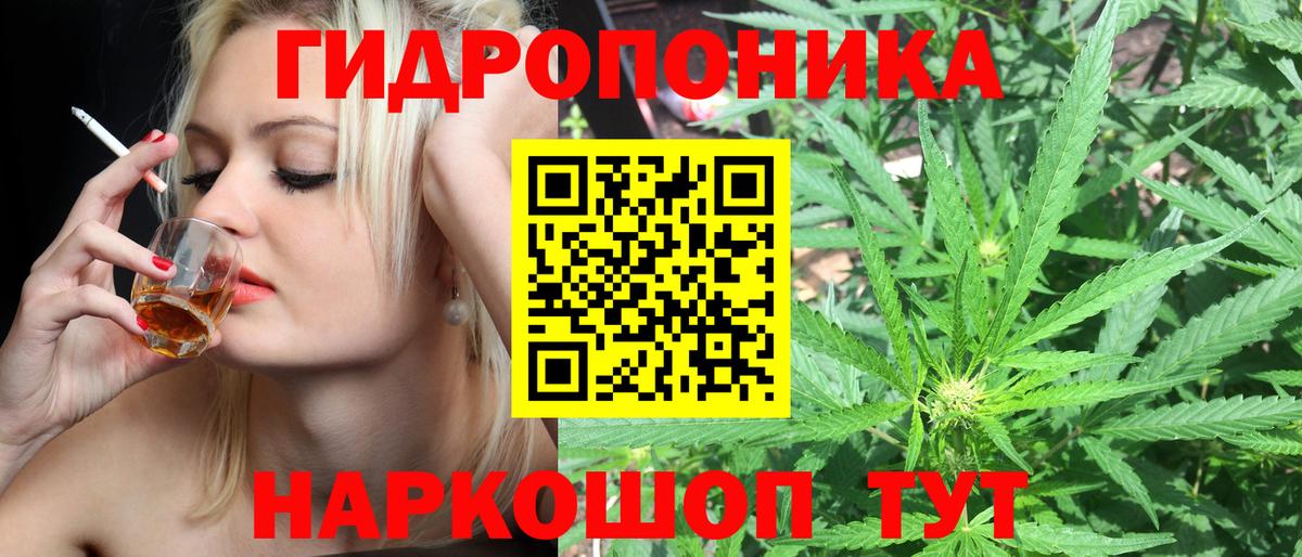 Бошки Шишки планчик Павловский Посад